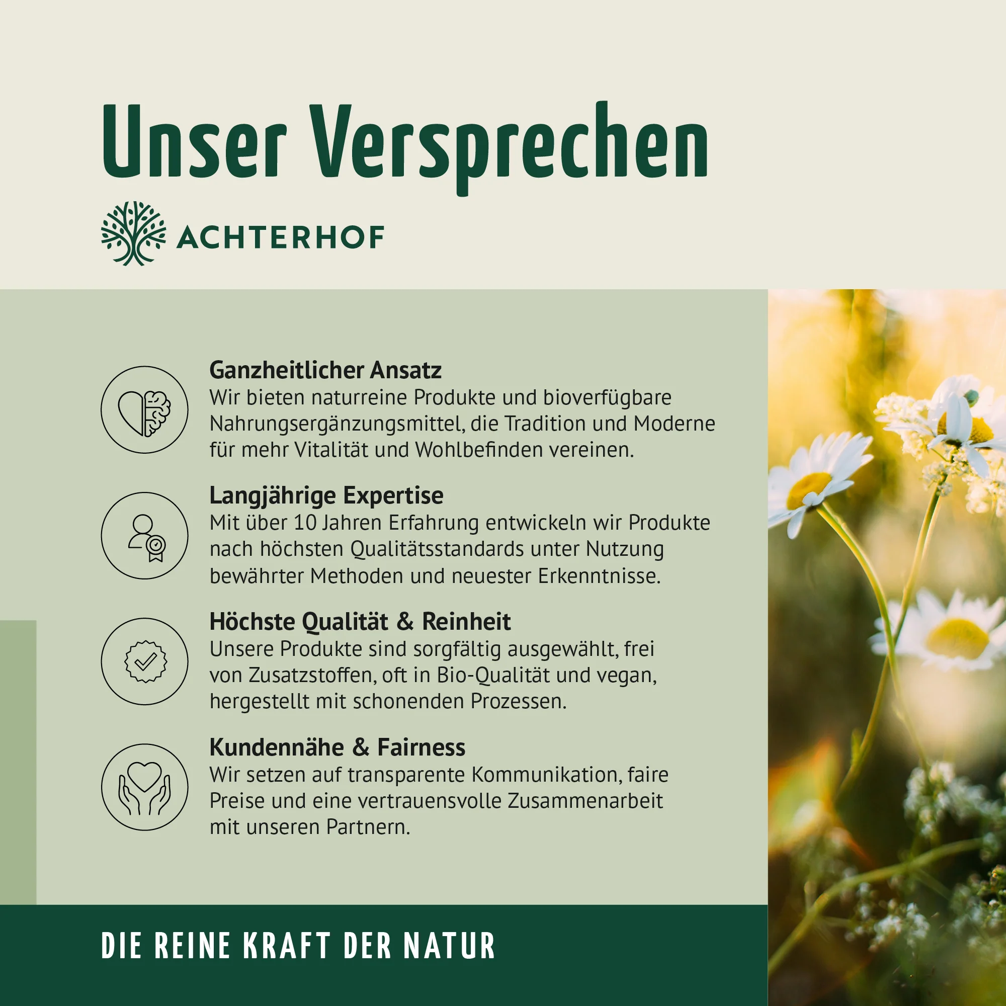 Vorschaubild 12