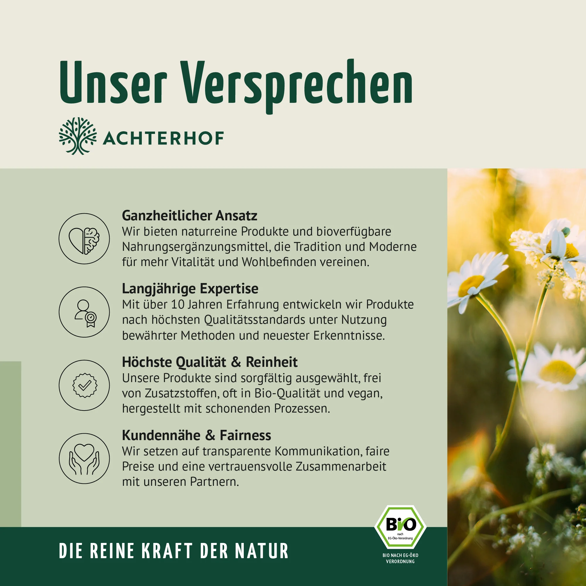 Vorschaubild 7