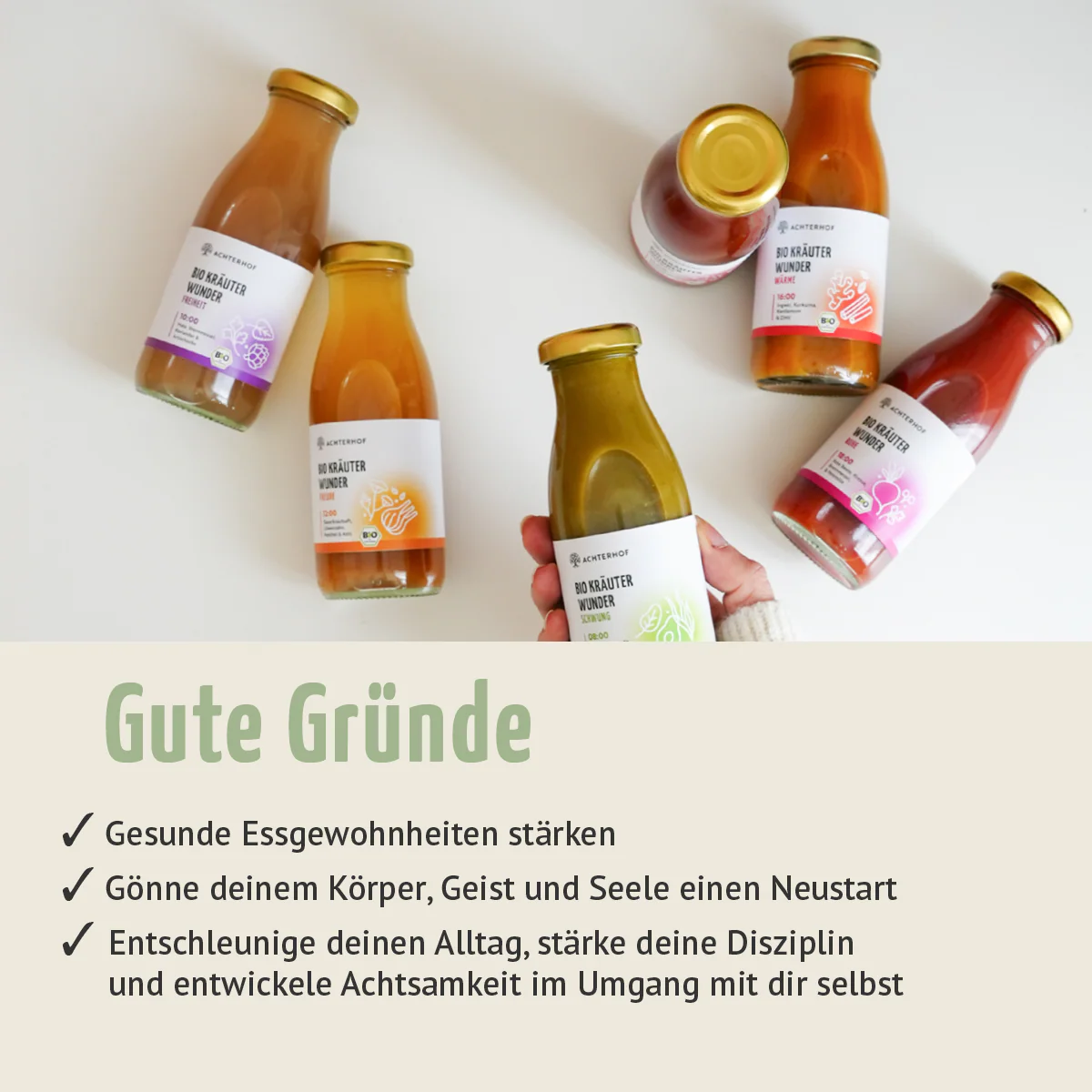 Vorschaubild 6