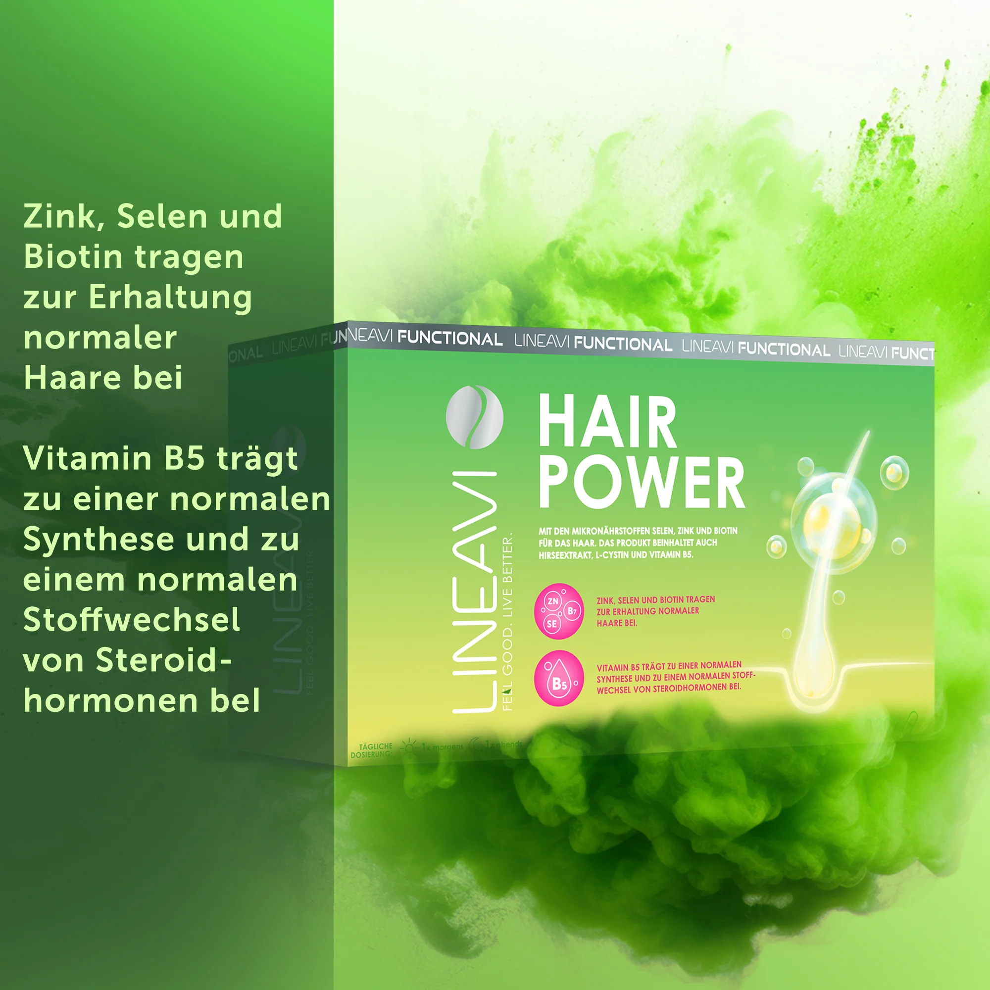 Vorschaubild 6