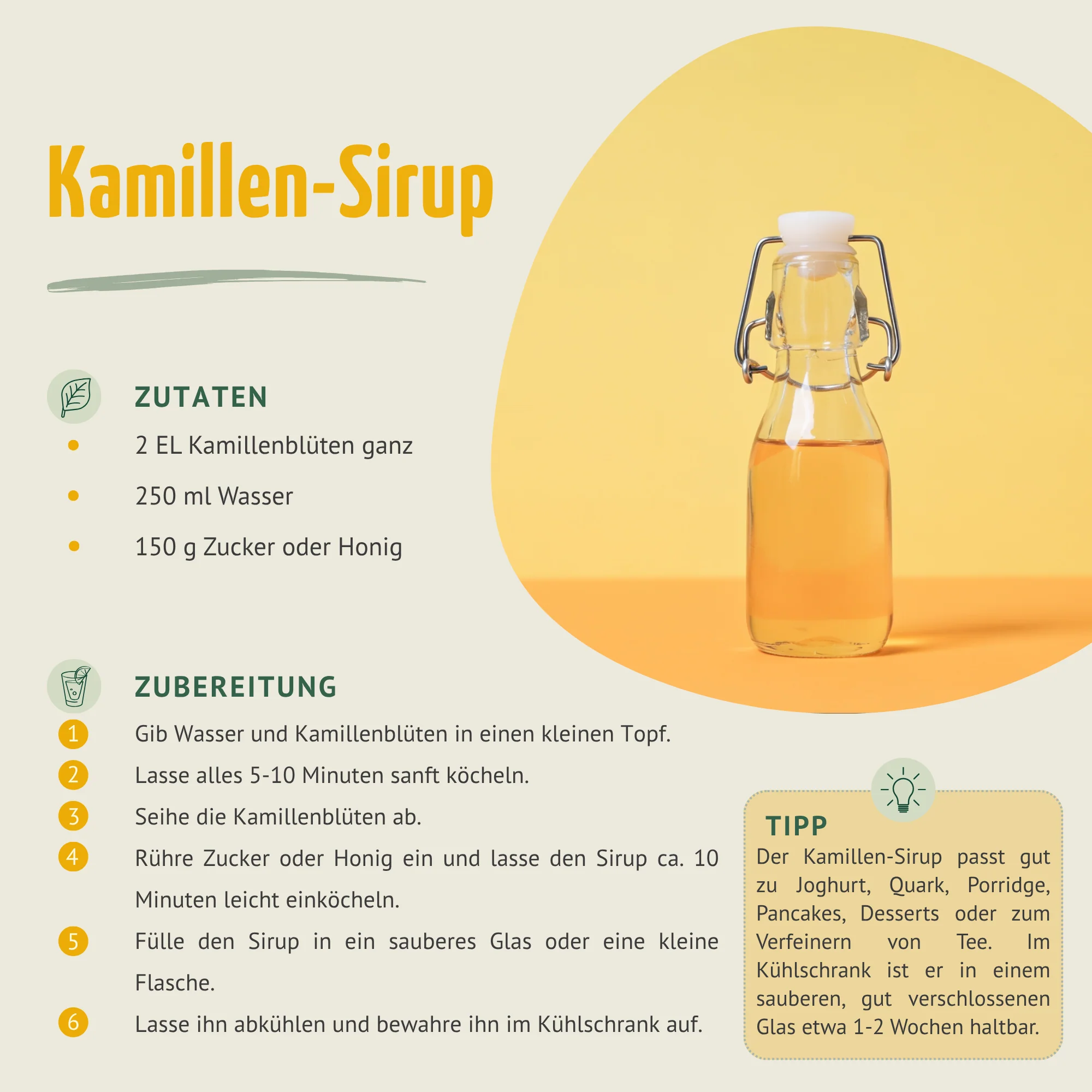 Vorschaubild 5