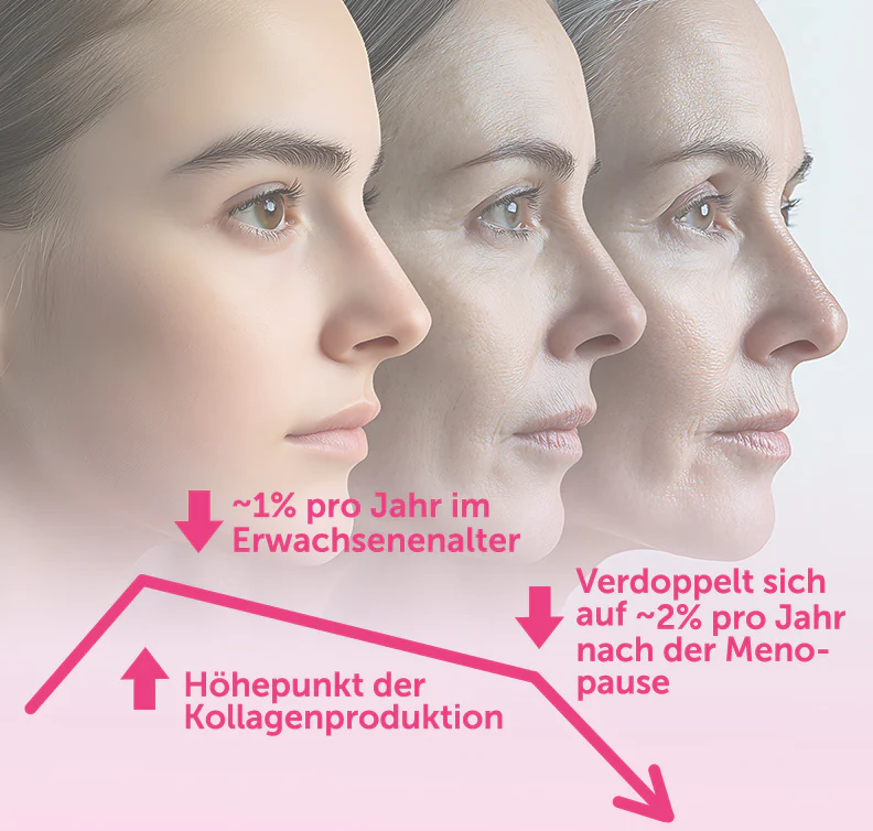 Vorschaubild 9