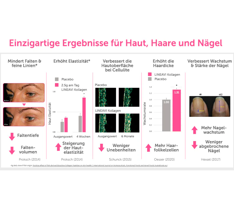 Vorschaubild 9
