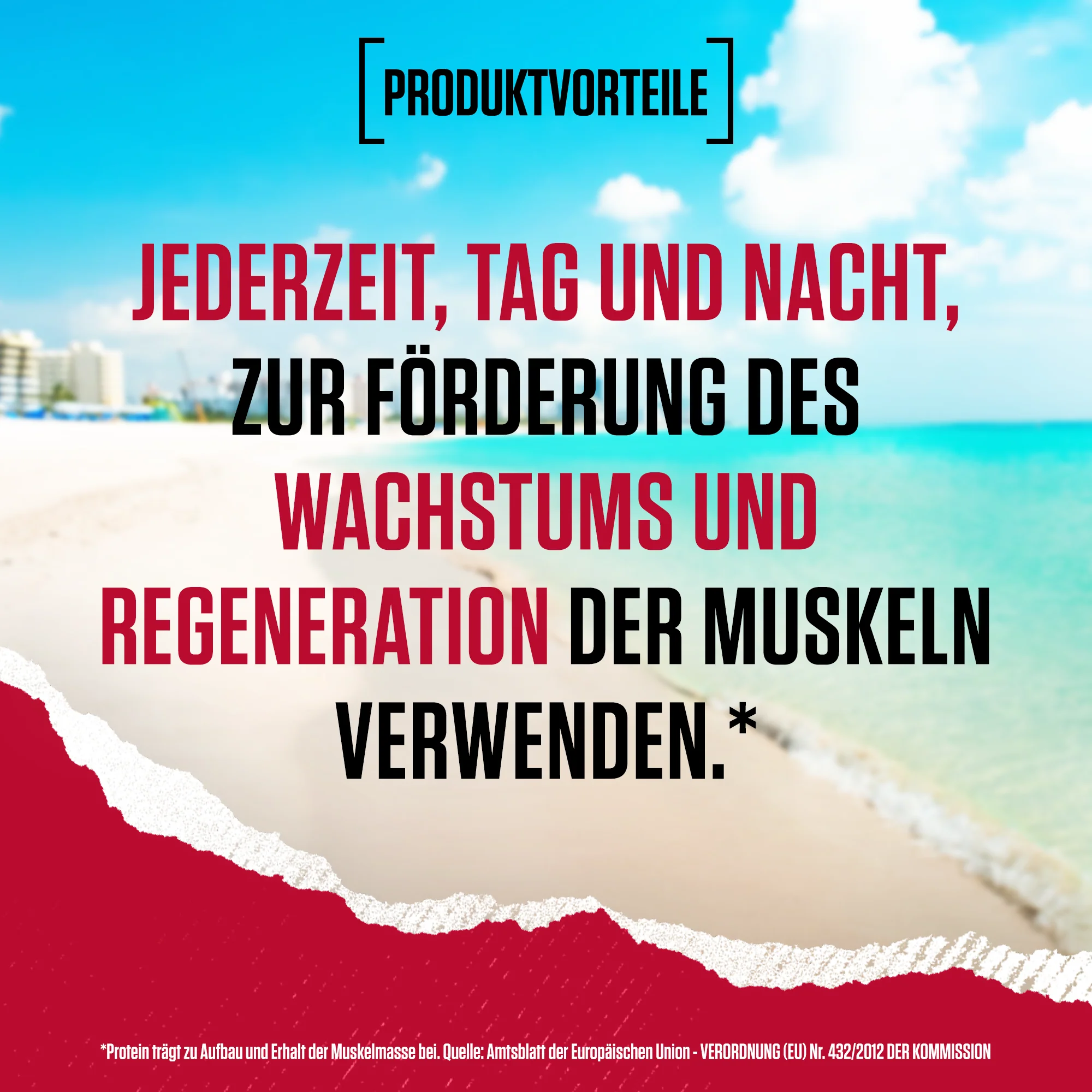 Vorschaubild 19