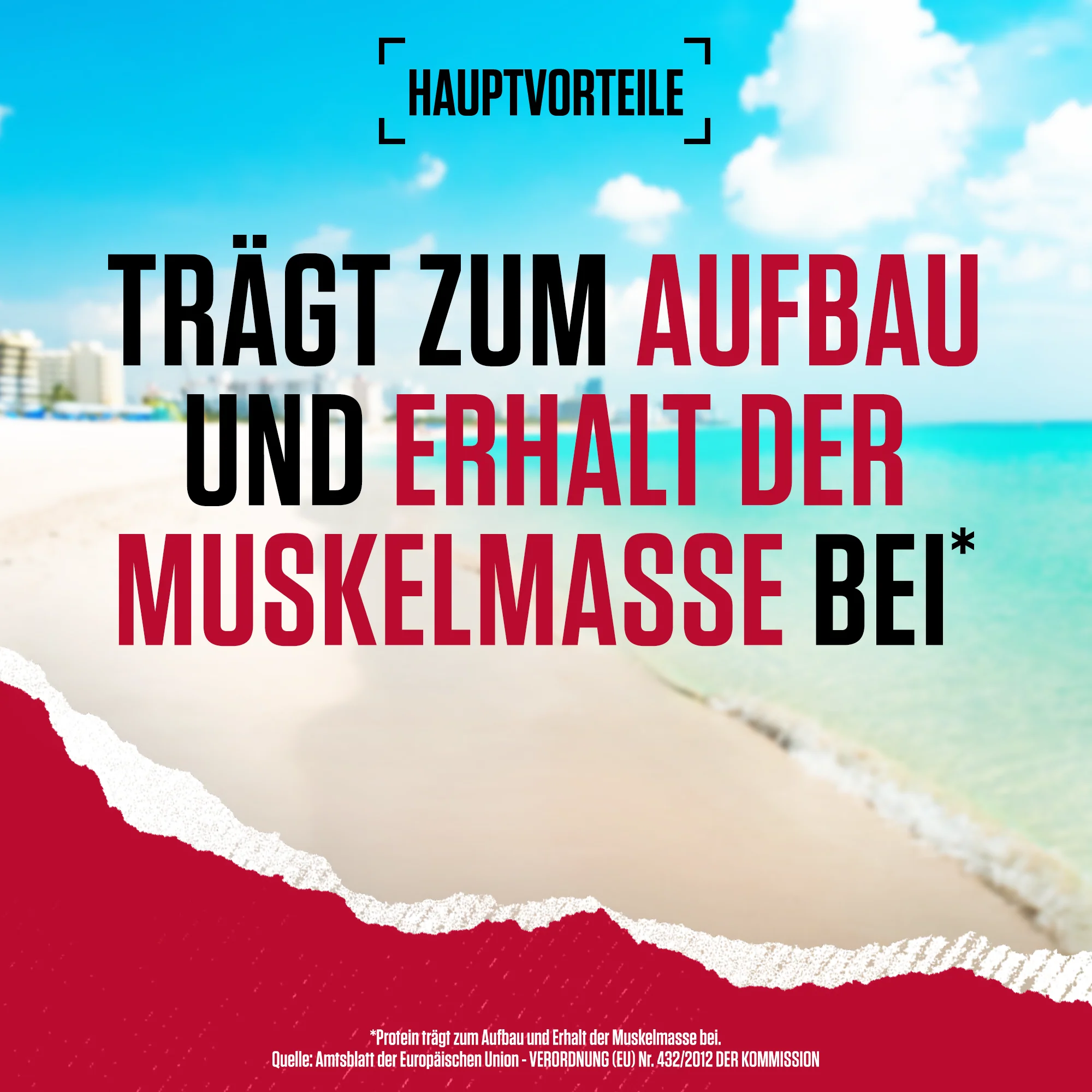 Vorschaubild 11